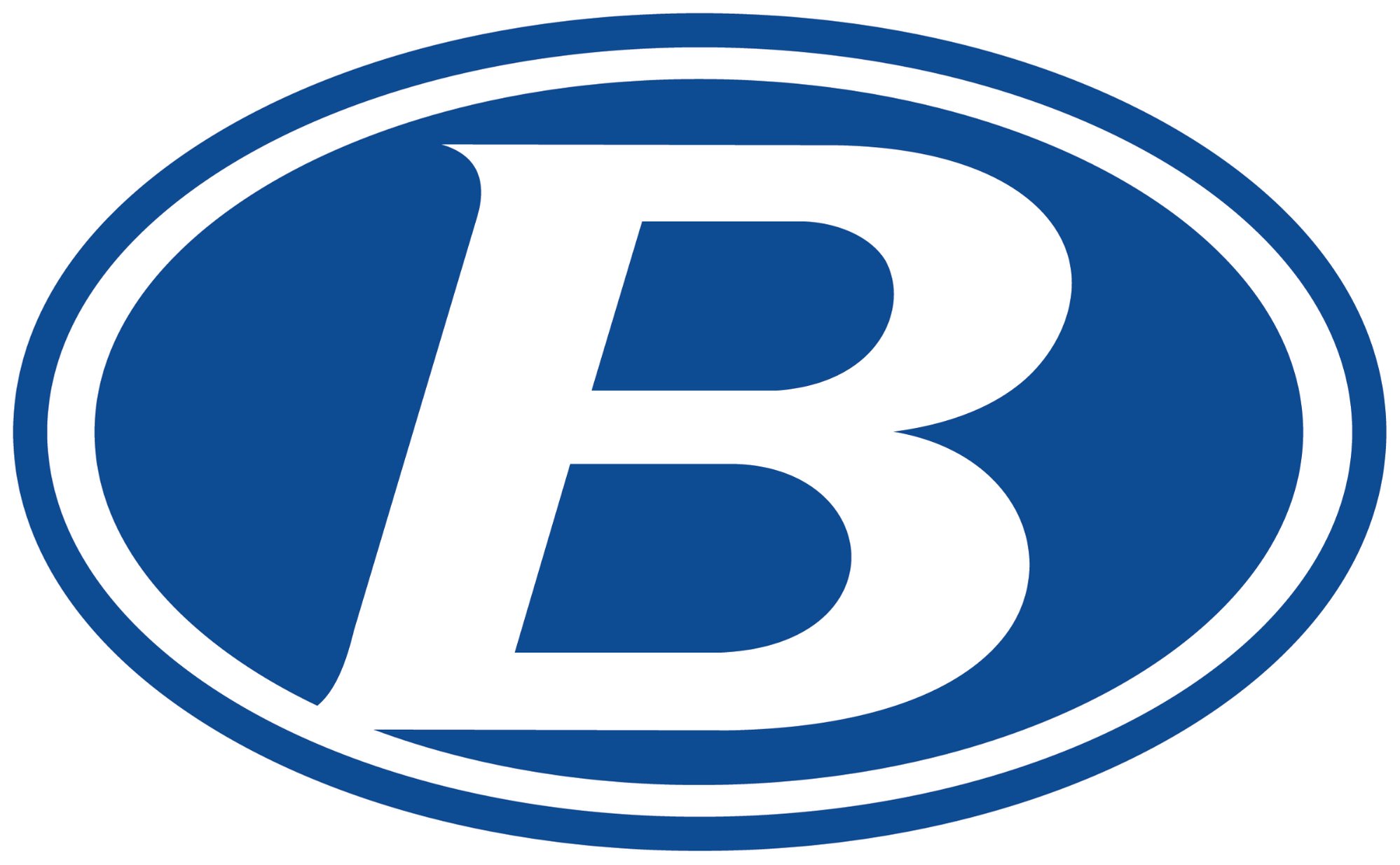 Brunswick CSD logo