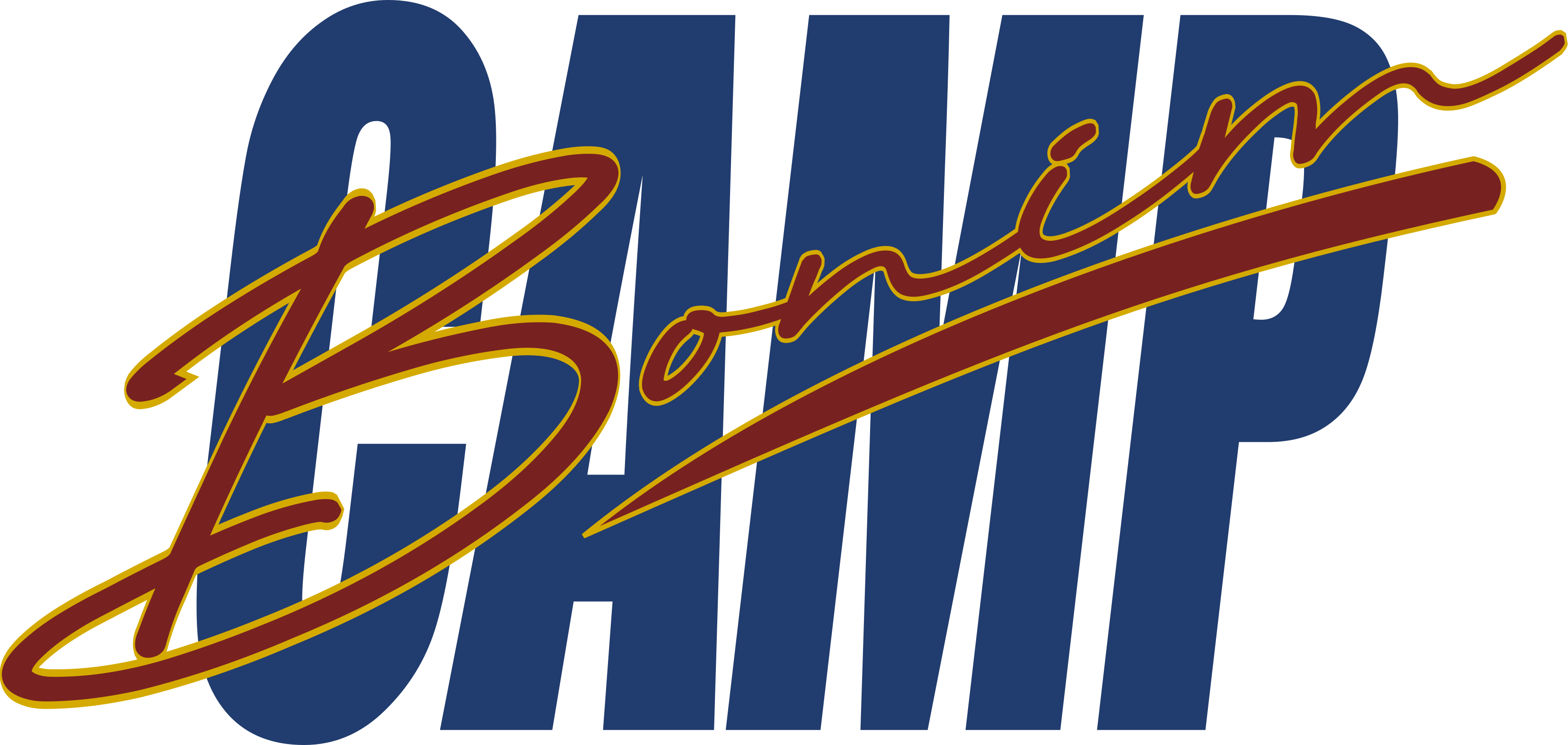 Camp Bonim logo