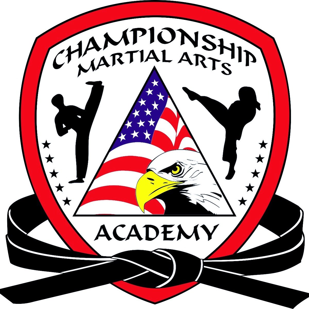 Championship Martial Arts Academy logo