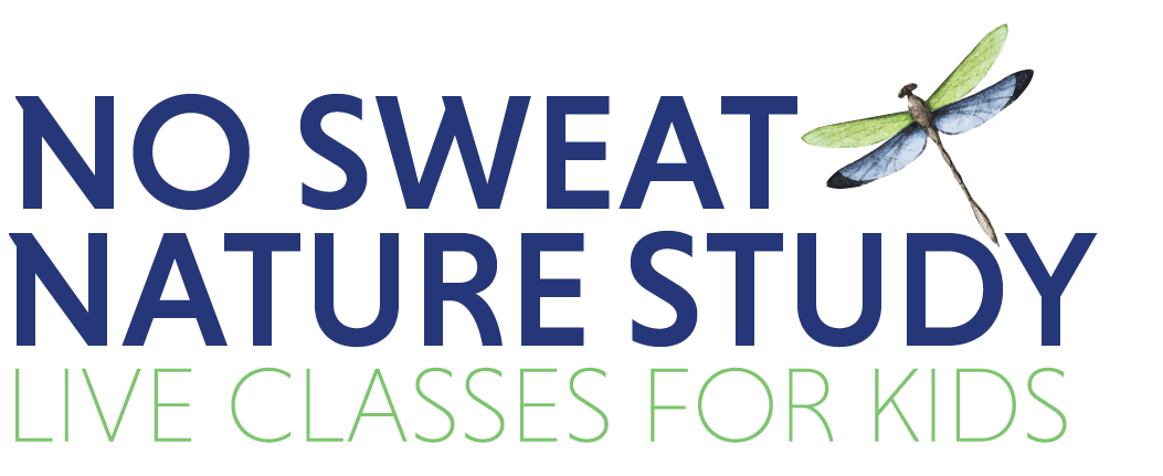 No Sweat Nature Study logo