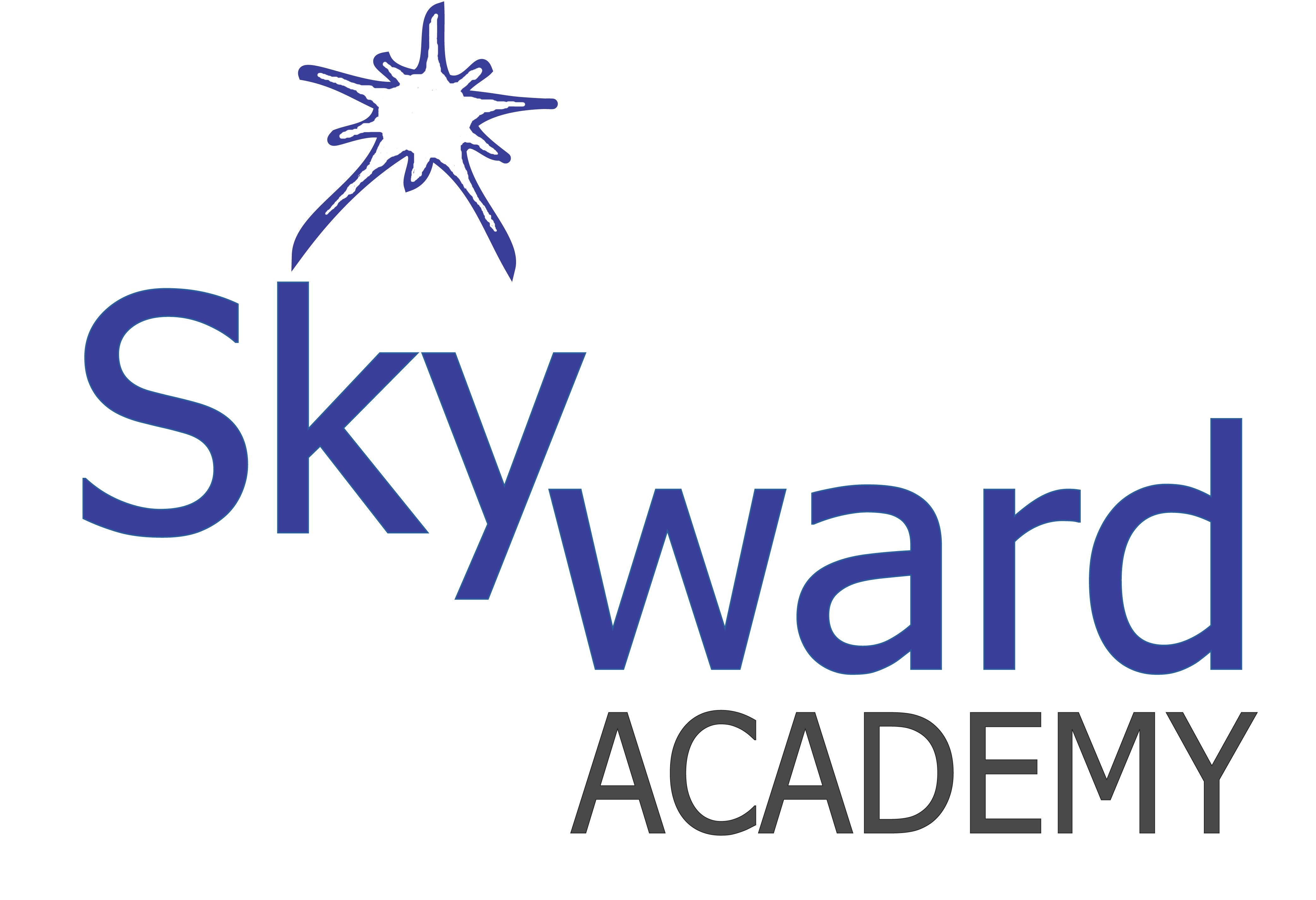Skyward Learning Services INC logo