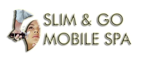 Slim & Go logo