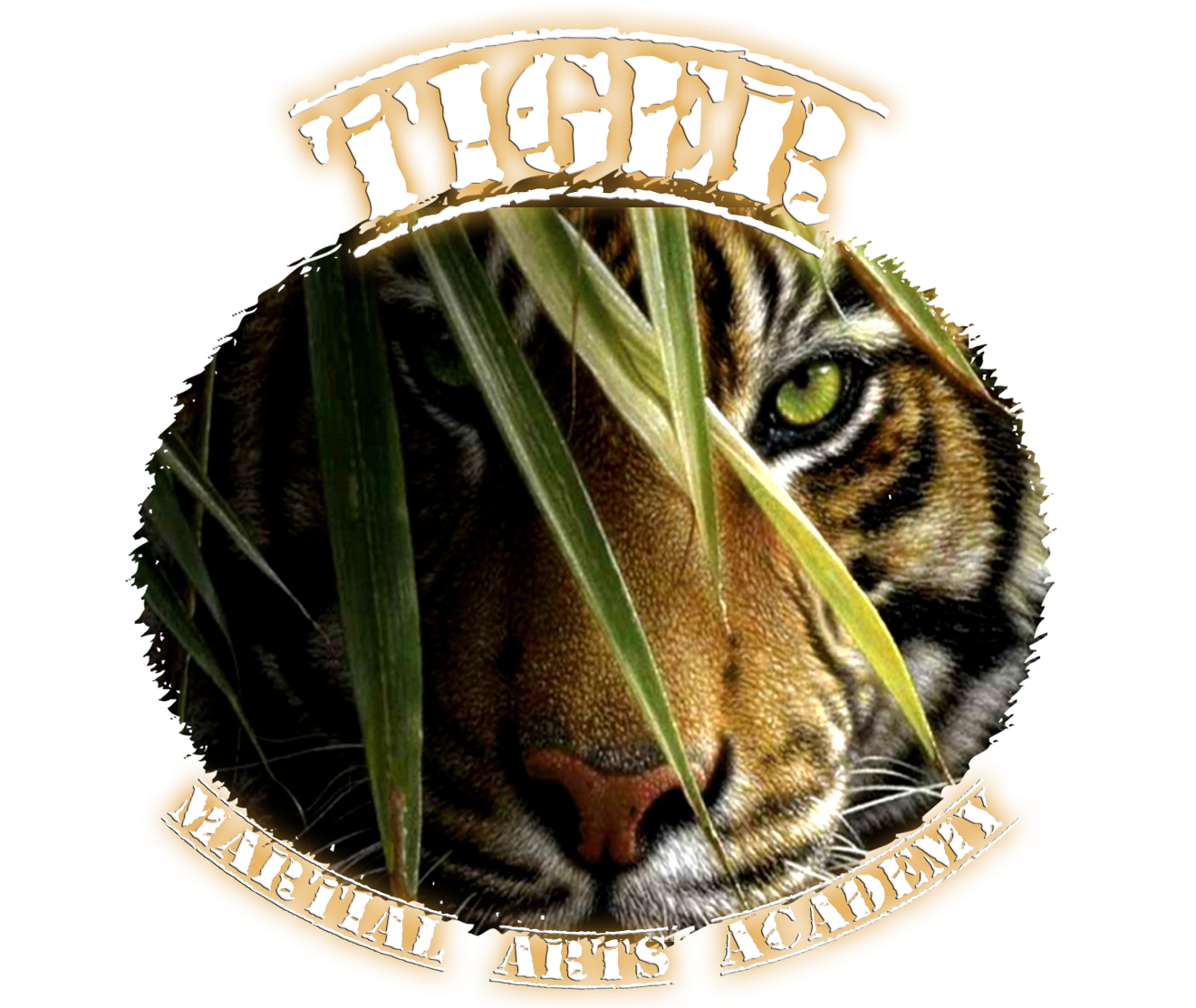 Tiger Martial Arts Academy  logo