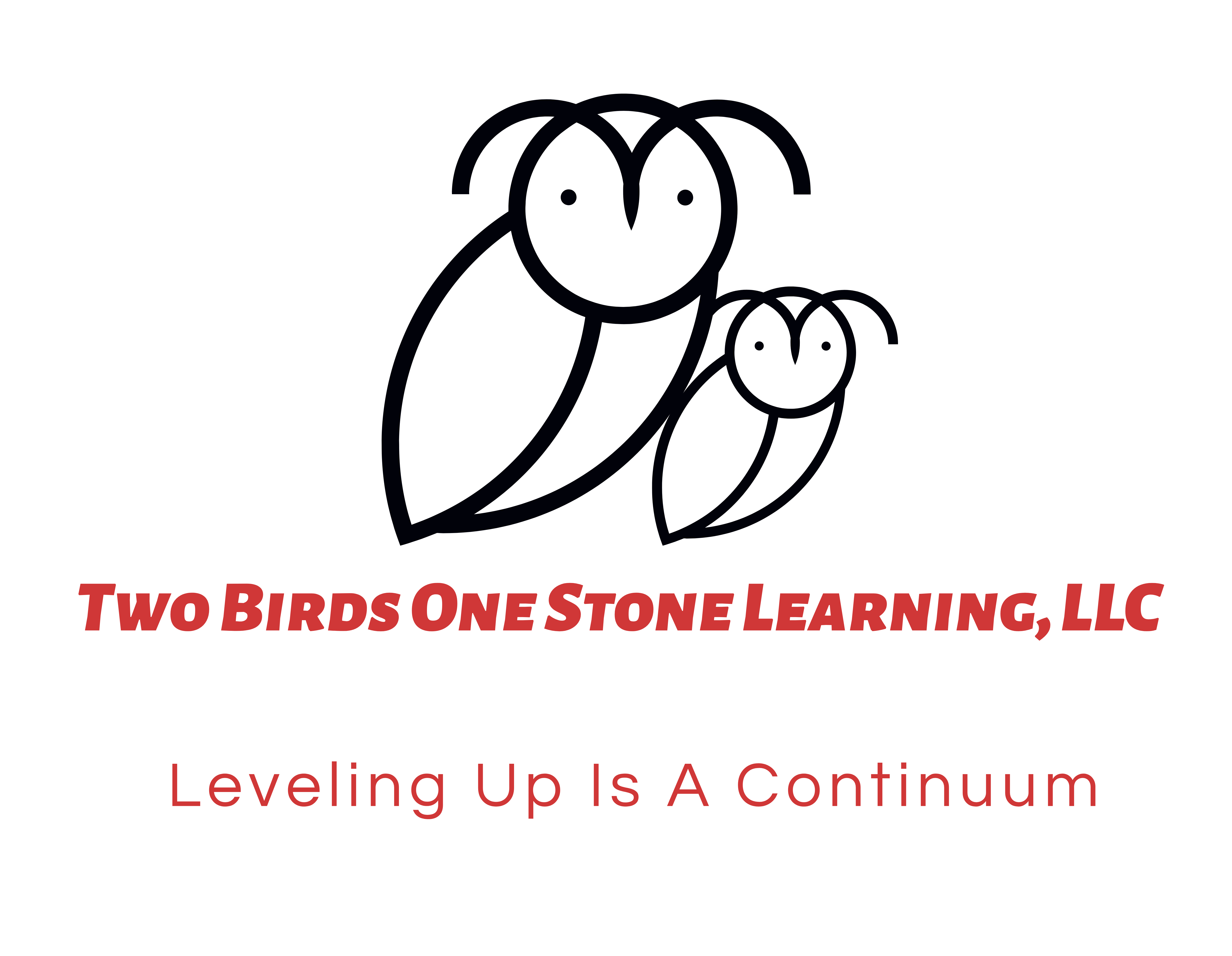 Two Birds One Stone Learning, LLC logo